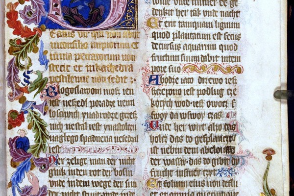 tłumaczenia przysięgłe niemiecki